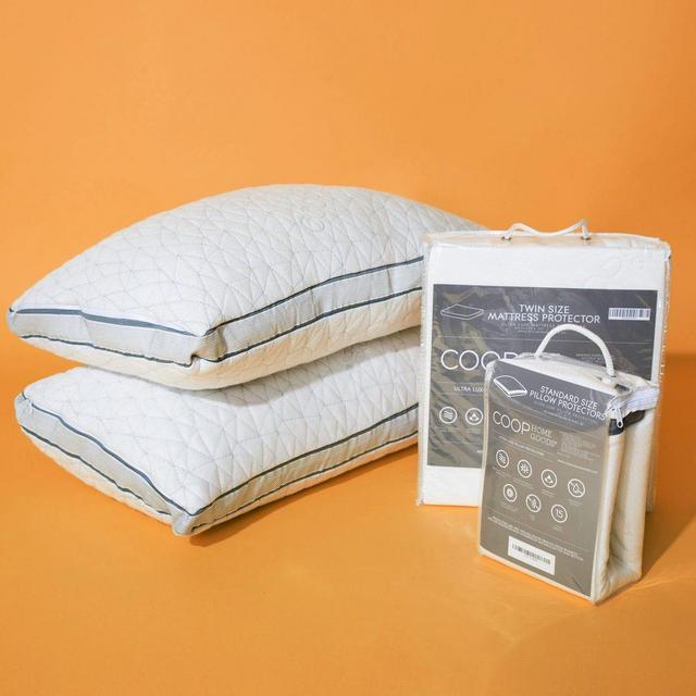 Coop Home Goods Eden Pillow & Protector Bundle