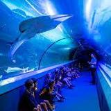 SEA LIFE Sunshine Coast Aquarium