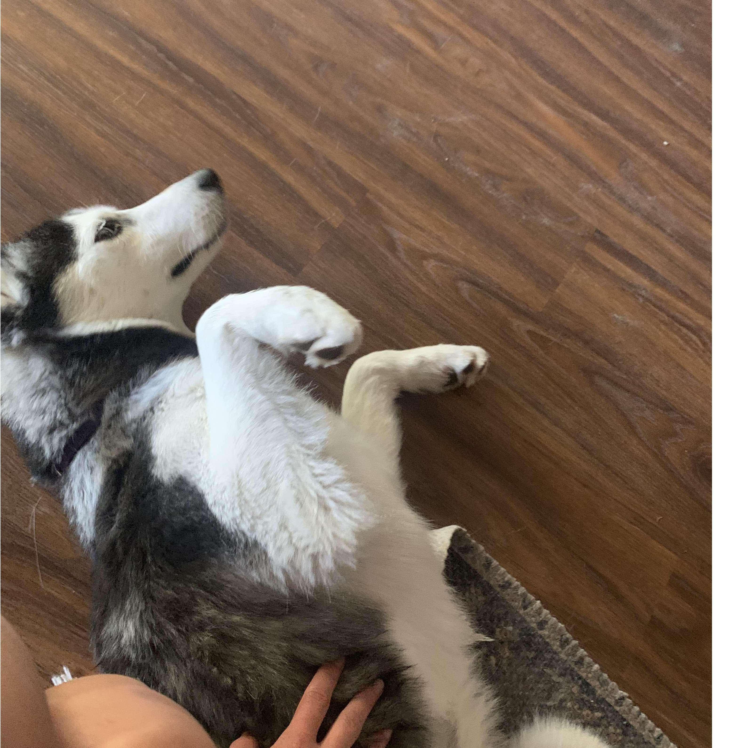 How we know we've sufficiently tired Sasha out