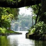 Winter Park Boat Tour