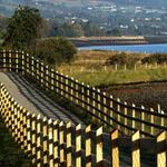 Carlingford to Omeath Greenway