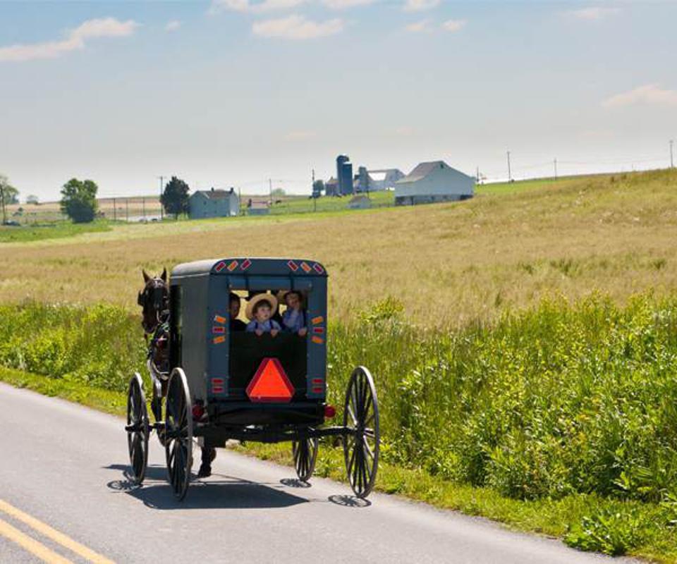 The Wedding Website of Taryn Schairer and Kyle Thompson