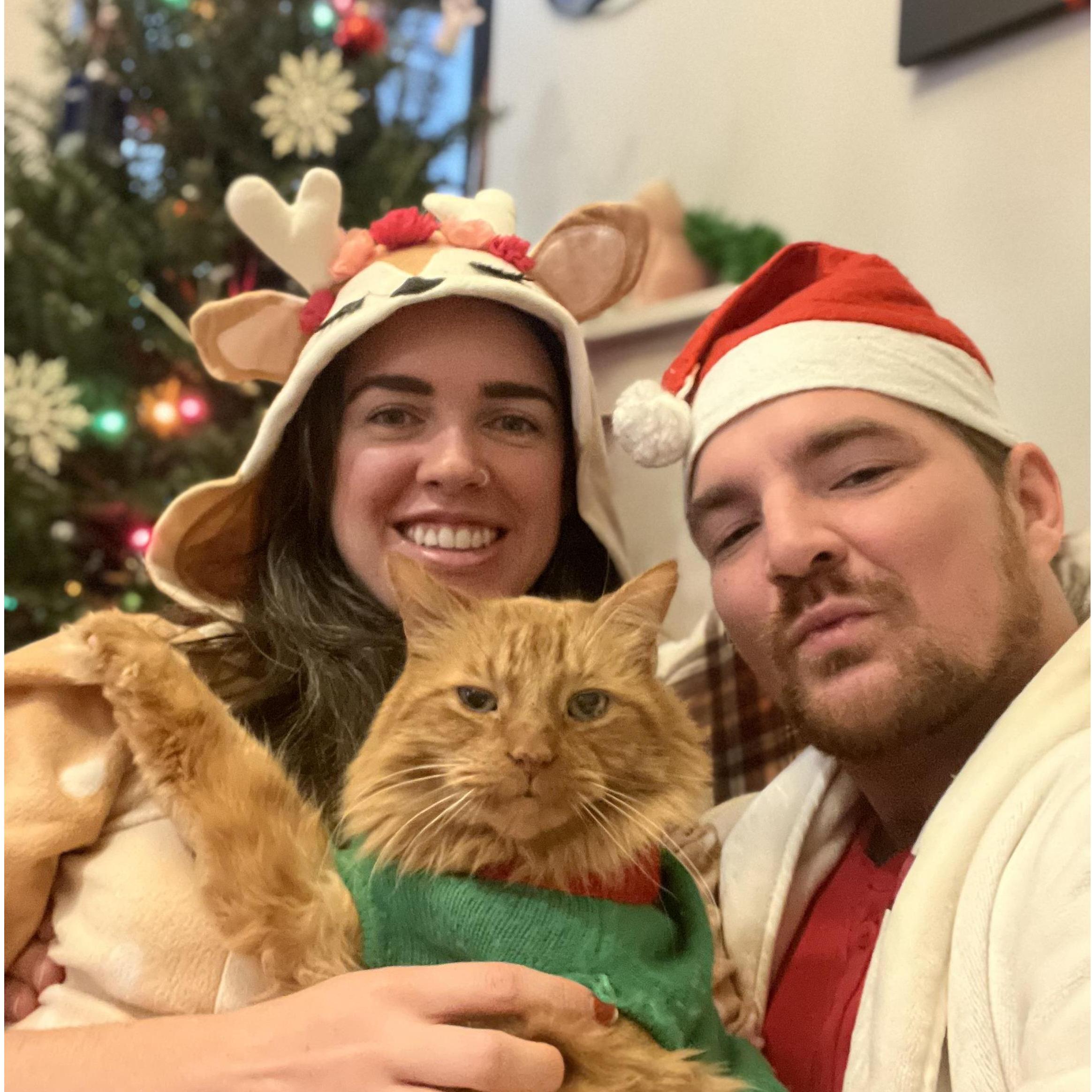 Basil with his merry catmas salute