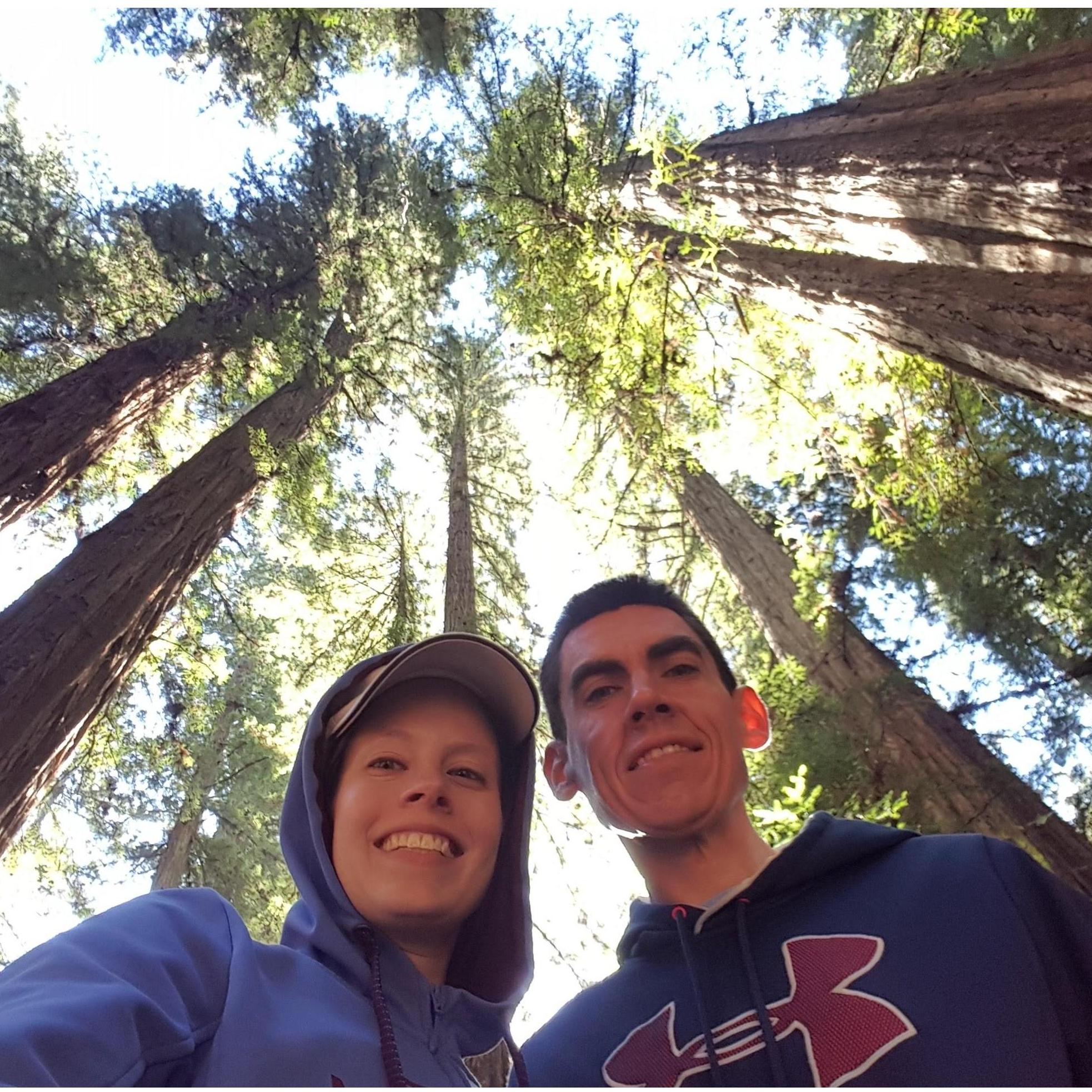 Armstrong Redwoods State Natural Reserve in Sonoma County, California (2017)