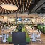 True Food Kitchen