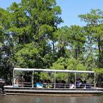 Swamp Tour New Orleans
