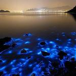 Luminous Lagoon "Glistening Waters" Tour