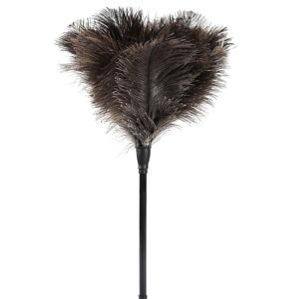 Natural Ostrich Feather Duster 14.9 inch
