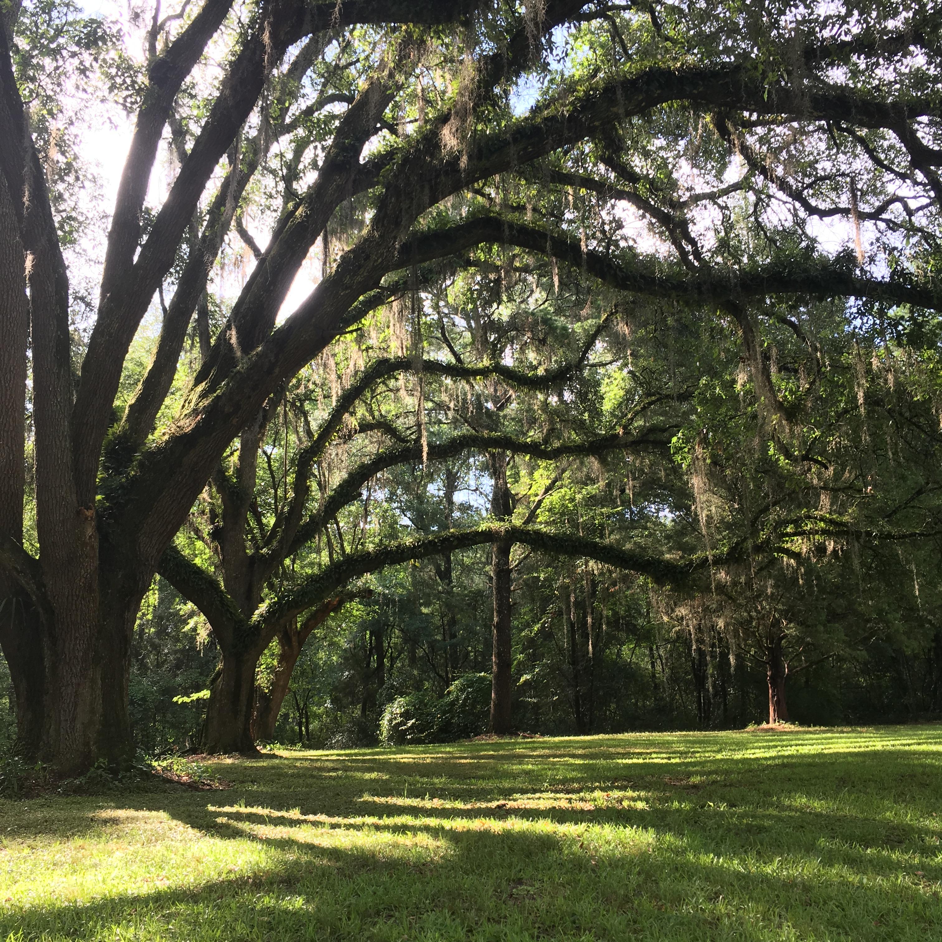 The Wedding Website of Jacqueline Chevalier and Benjamin Mosely