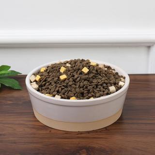 Nordic Pet Bowl
