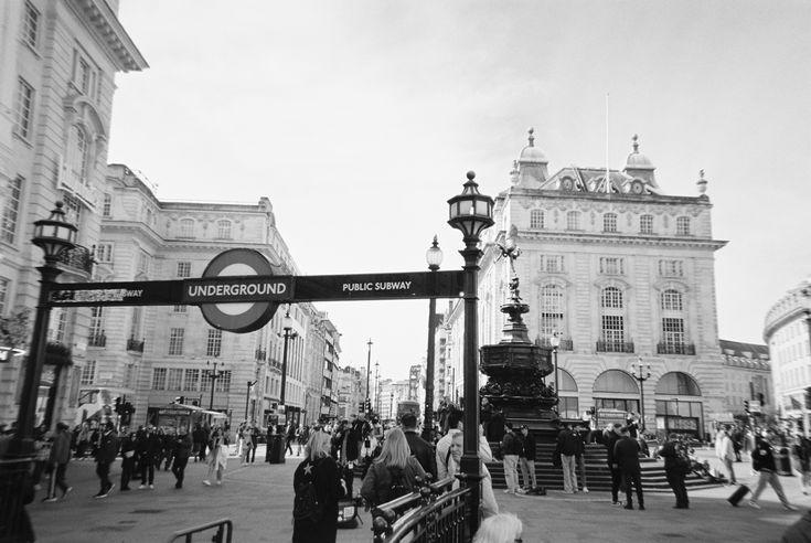 The Wedding Website of Blathin Quinn and Nikolas Tomljenovic