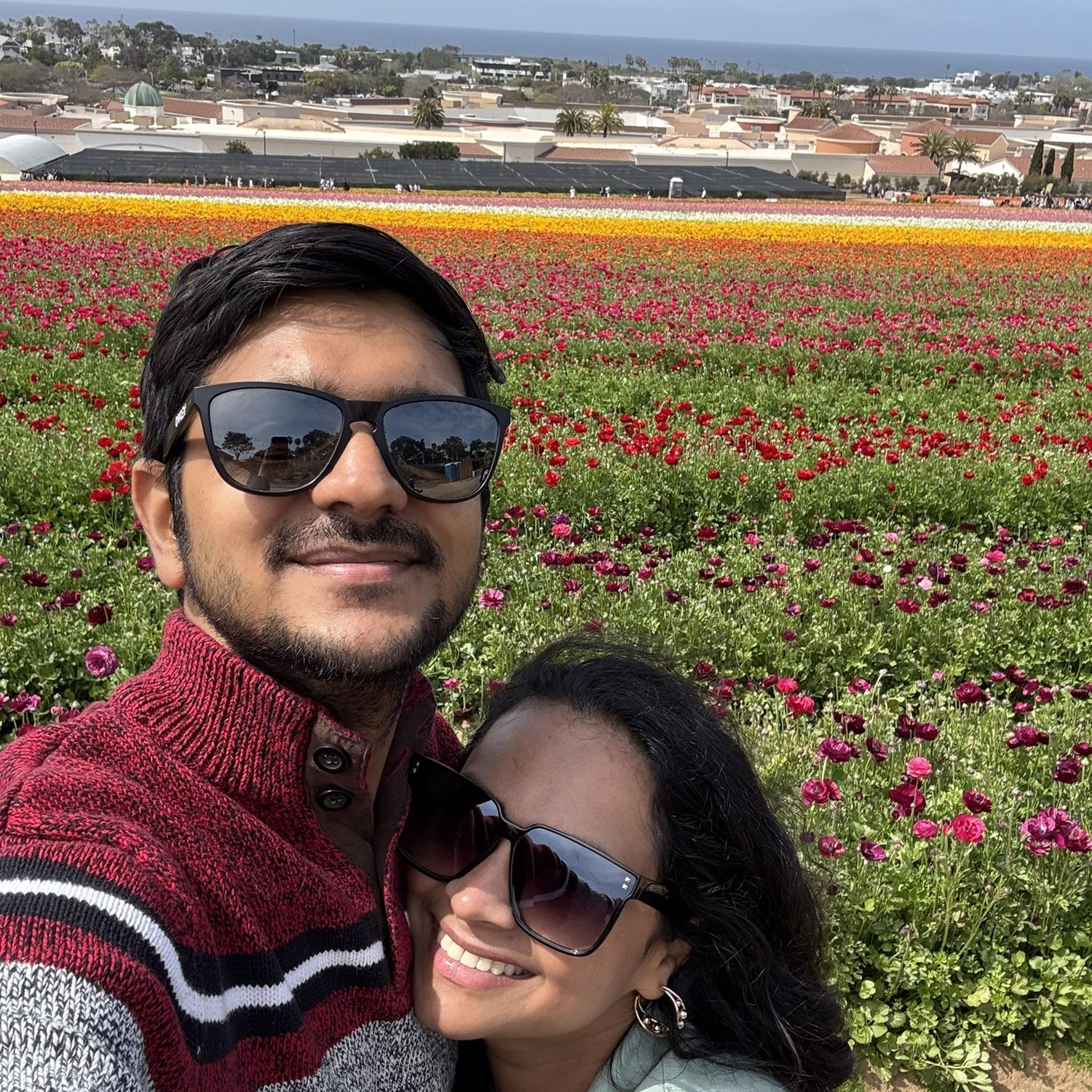 The one at the Carlsbad Flower Fields