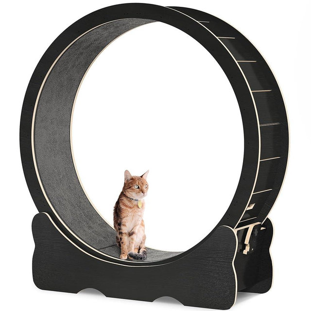 DWVO Cat Wheel Exerciser for Indoor, 43.3 inch Large Cat Exercise Wheel for Running Silent, Cat Treadmill for with Safety Lock for Kitty's Weight Loss, Fitness and Health