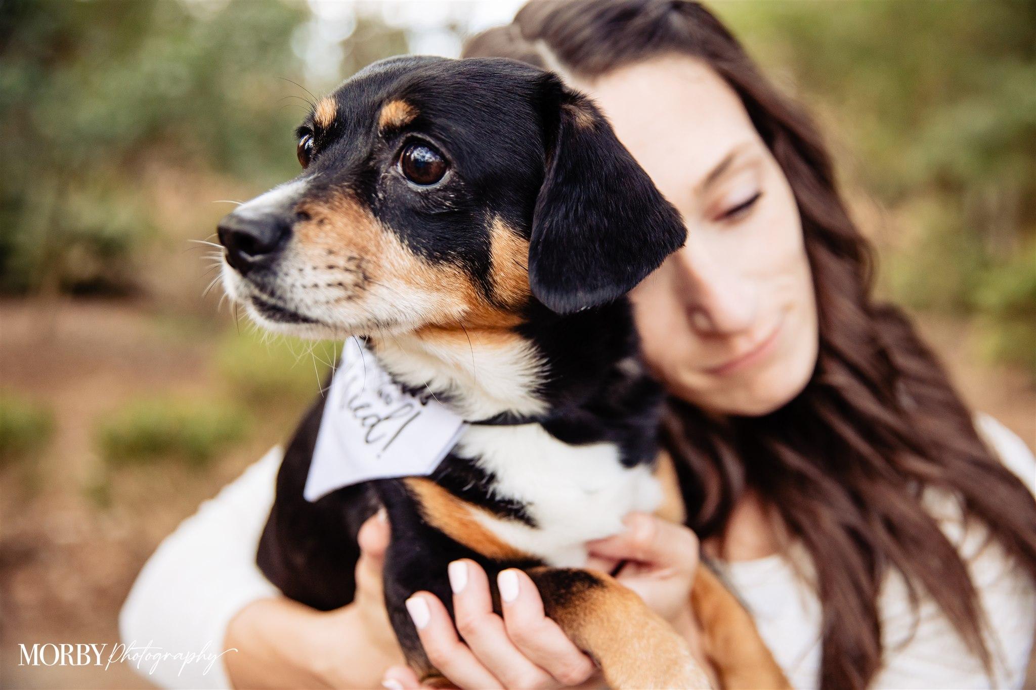 The Wedding Website of Stephanie Pennacchia and Mason Stephens
