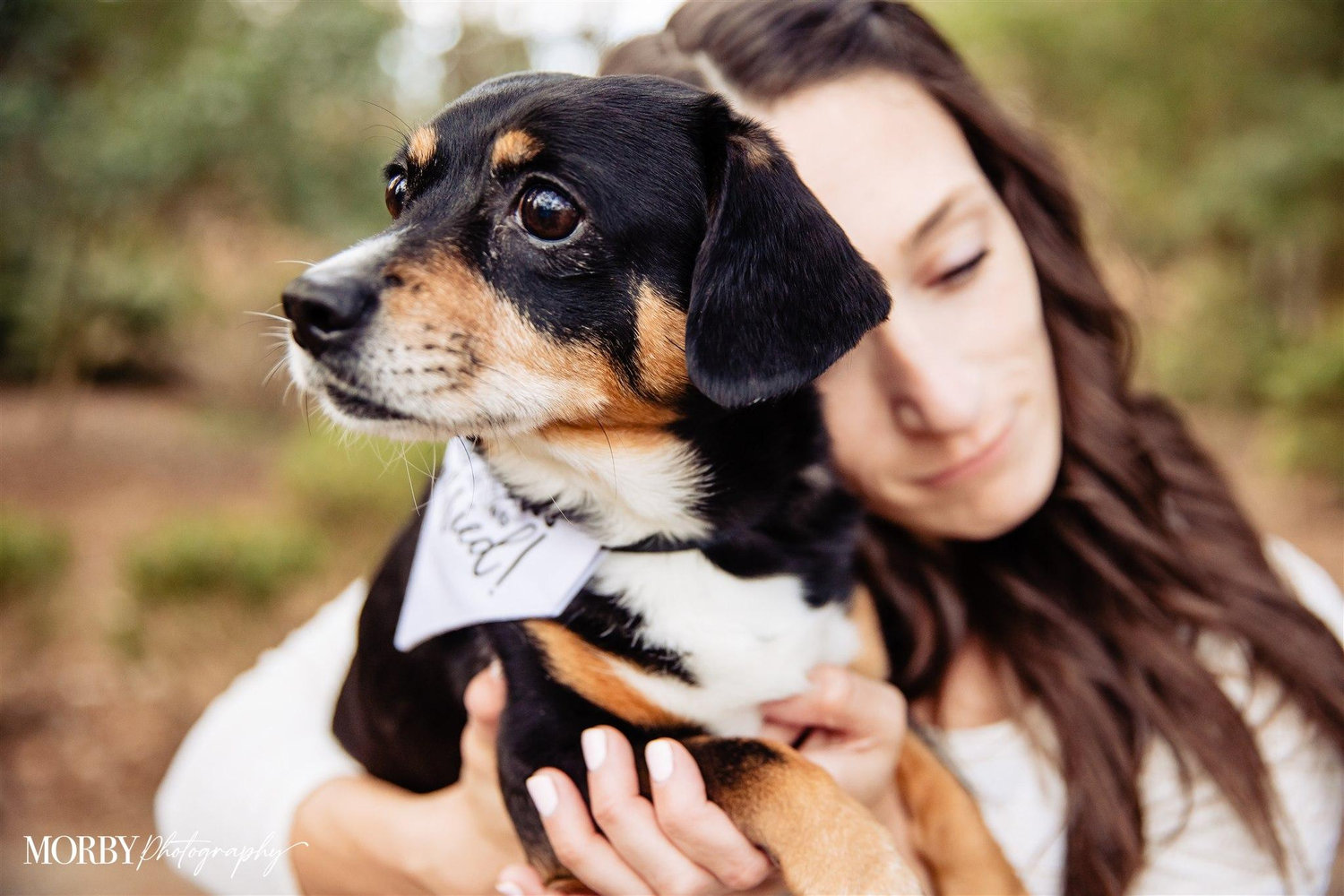 The Wedding Website of Stephanie Pennacchia and Mason Stephens