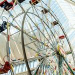 Scheels