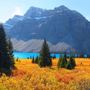 Parks Canada Discovery Pass