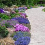 Betty Ford Alpine Gardens