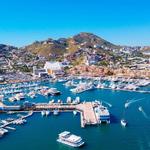 The Marina