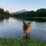 Todd Lake