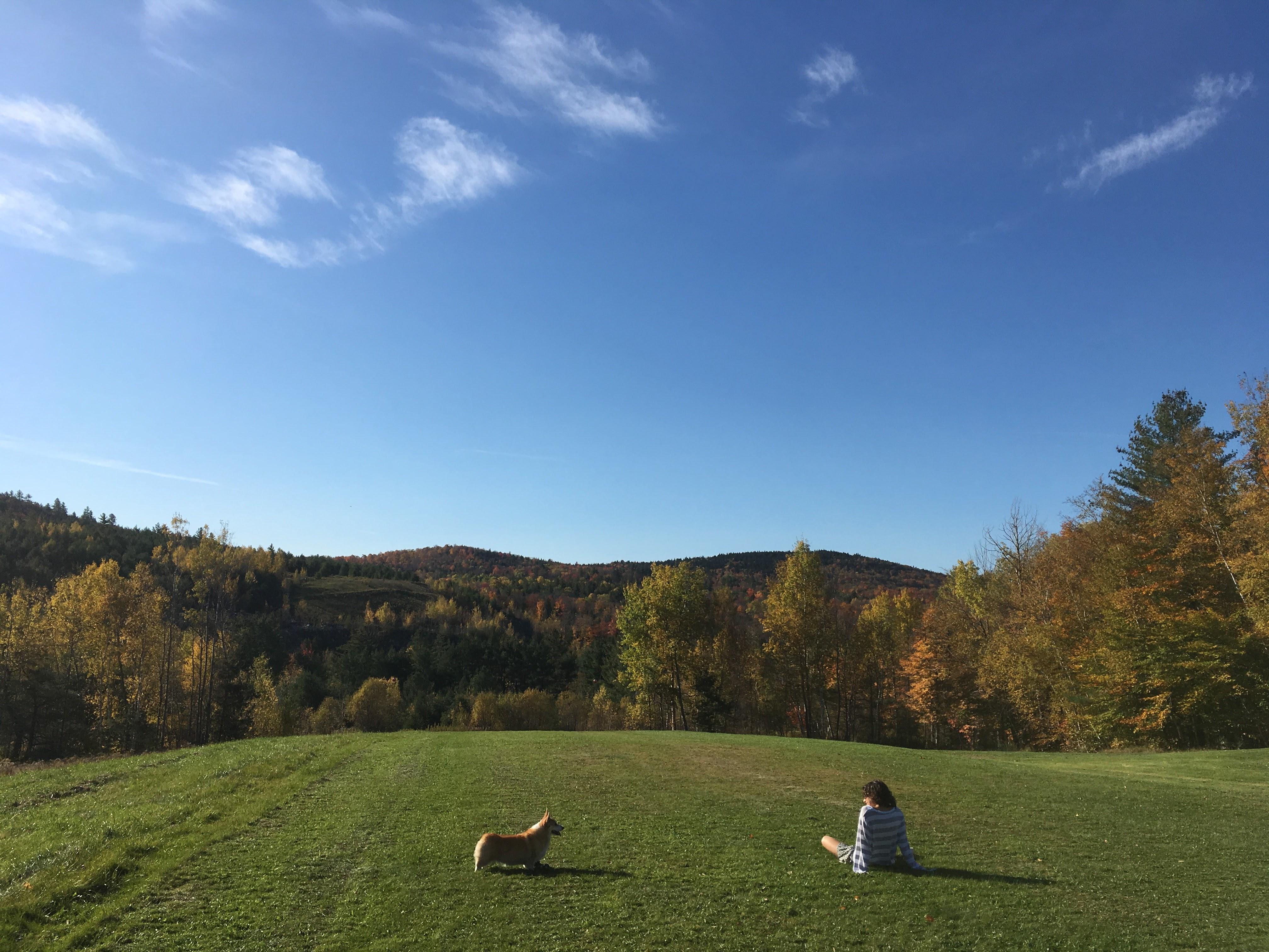 The Wedding Website of Zach Smith and Amy Sanford