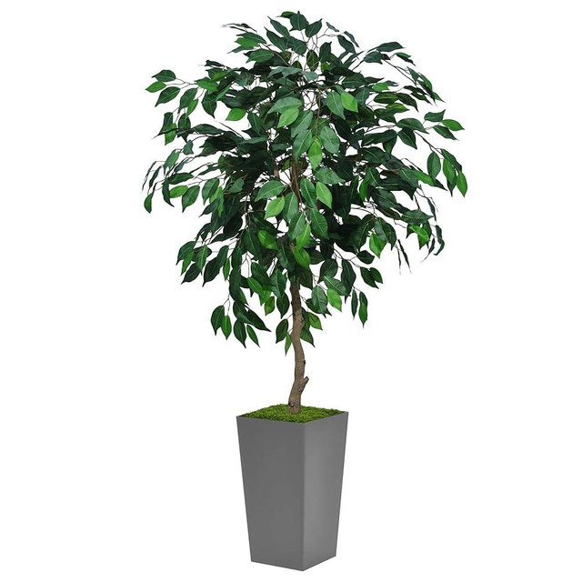 ASTIDY Artificial Ficus Tree 5FT - Faux Indoor Tree with Gray Tall Planter - Fake Ficus Floor Plant Potted - Artificial Silk Tree for Home Office Living Room Decor Indoor