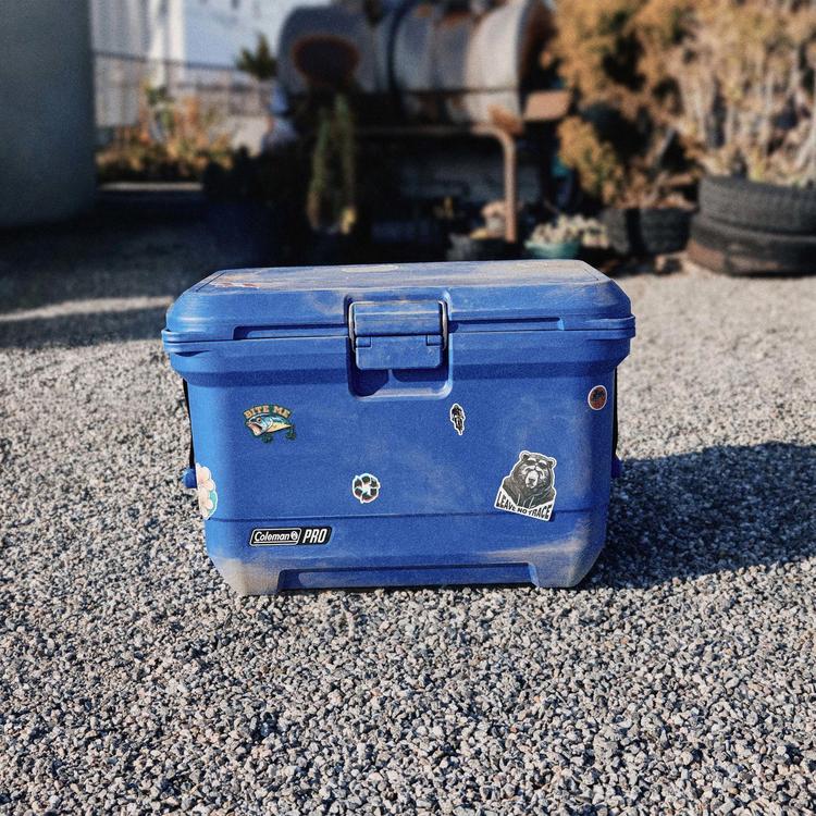 Coleman, Pro 45-Quart Hard Cooler | Zola