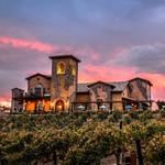 Robert Renzoni Vineyards