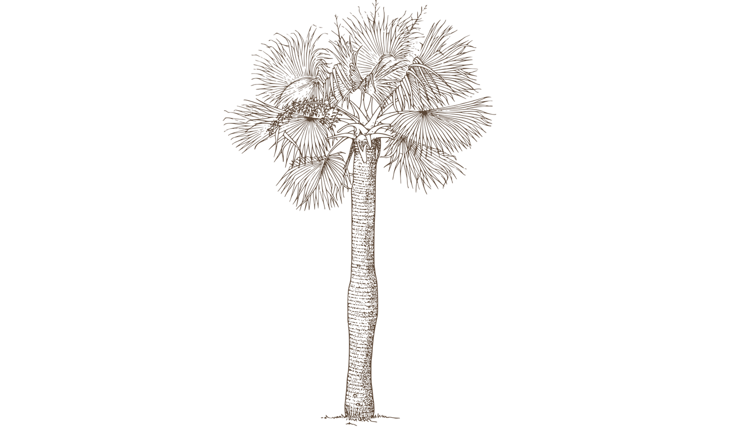 Footer image