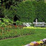 New Jersey Botanical Garden