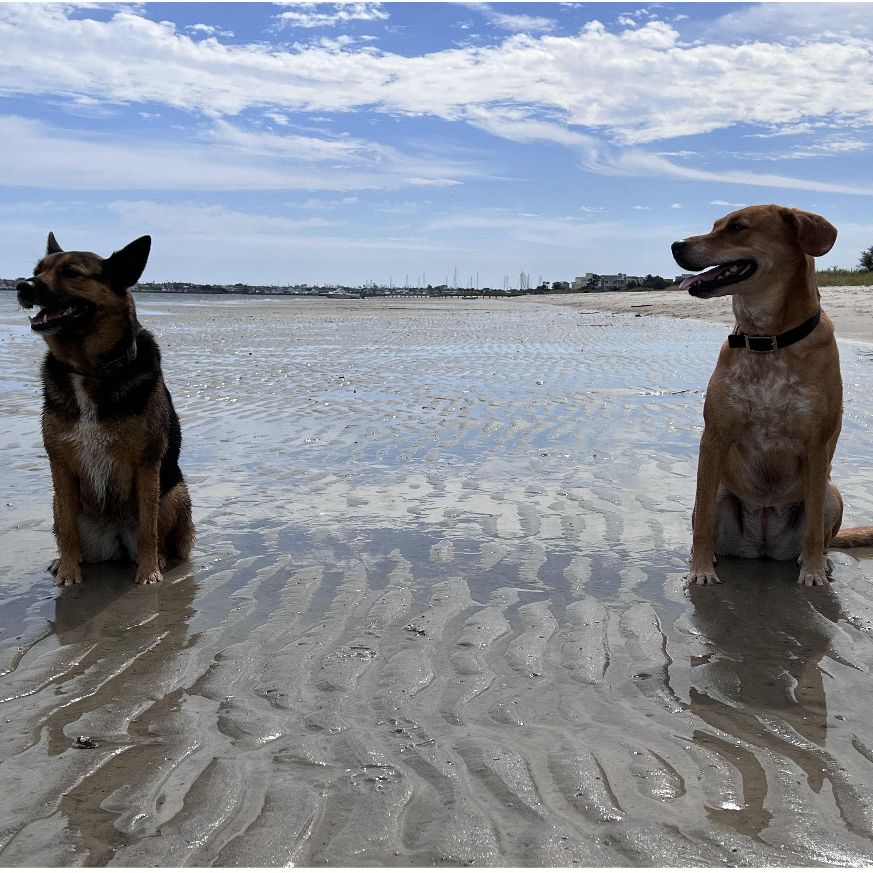 The girls at their favorite place