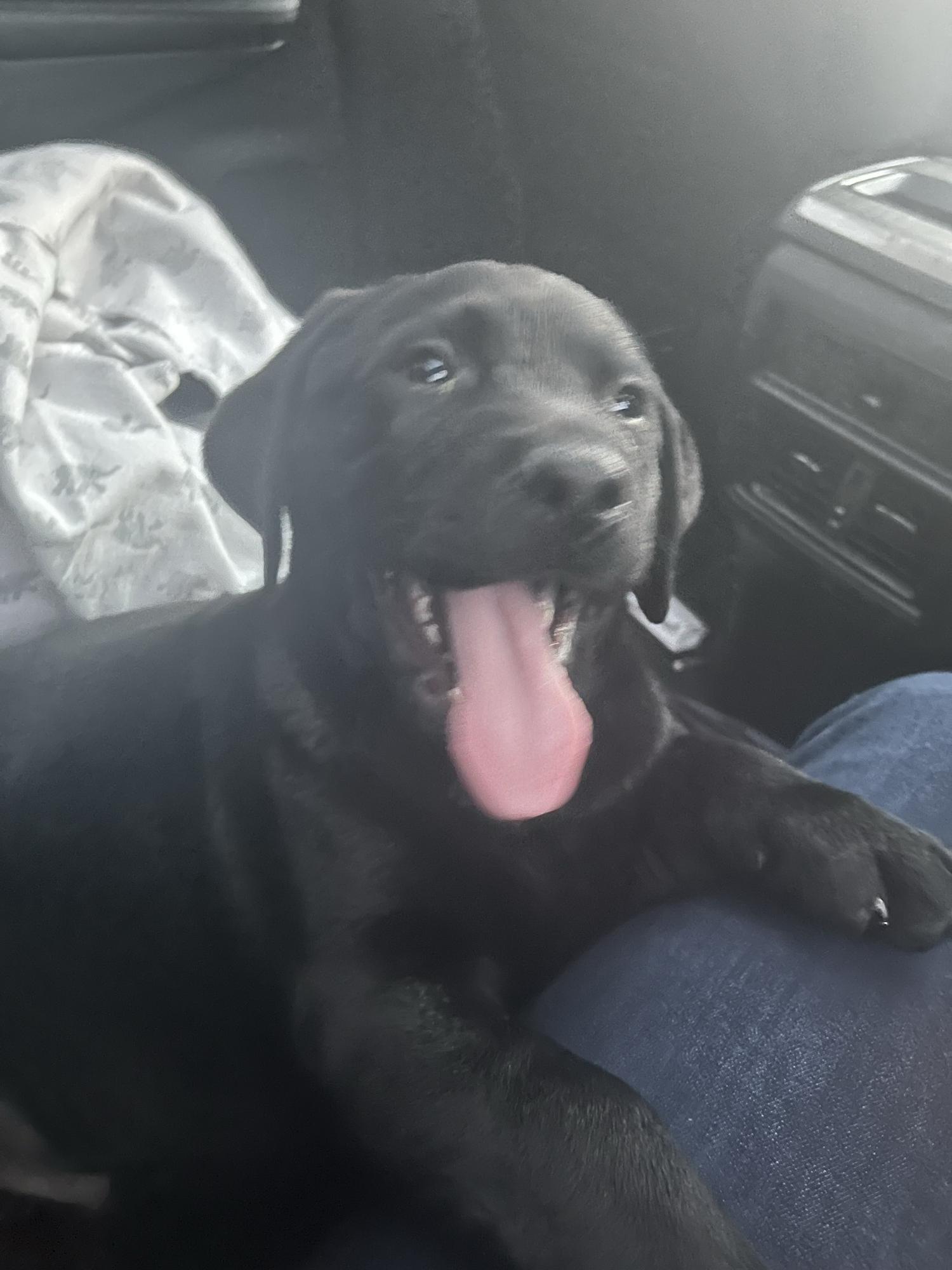 Happy Hanky!!