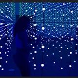 Wonderspaces Arizona