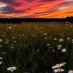 Manassas National Battlefield Park