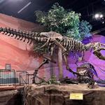 Mountain America Museum of Ancient Life at Thanksgiving Point