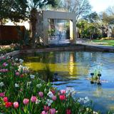 The Dallas Arboretum and Botanical Garden