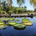 Naples Botanical Garden