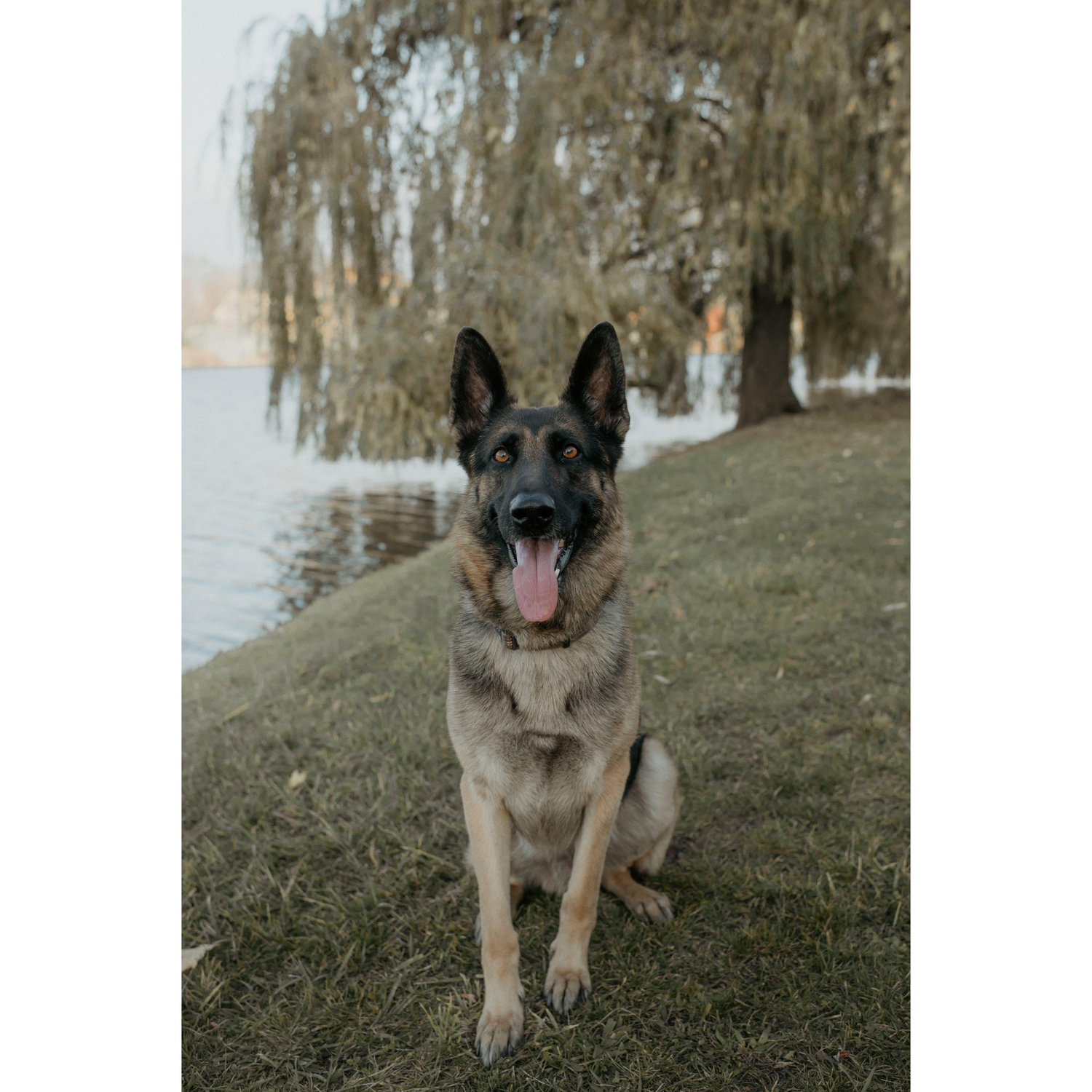 our first son - rexy