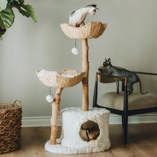 Cento Modern Wooden Cat Tree with Condo