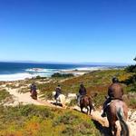Horseback Riding