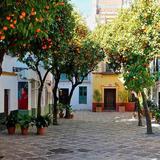 Barrio Santa Cruz, Seville