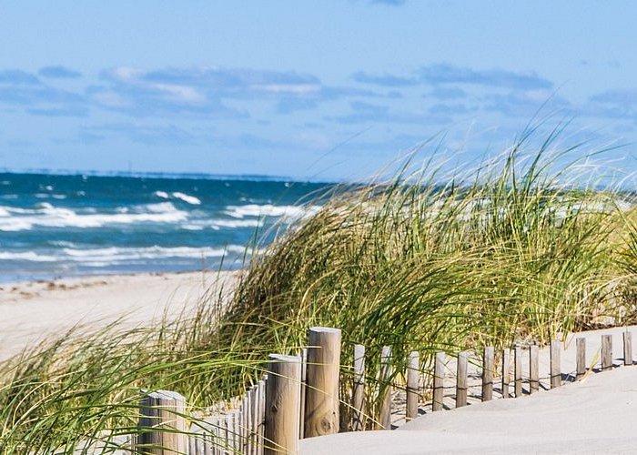 The Wedding Website of Meghann Eident and Ryan Kaski