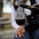 Newport Vineyards