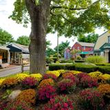 Olde Mistick Village