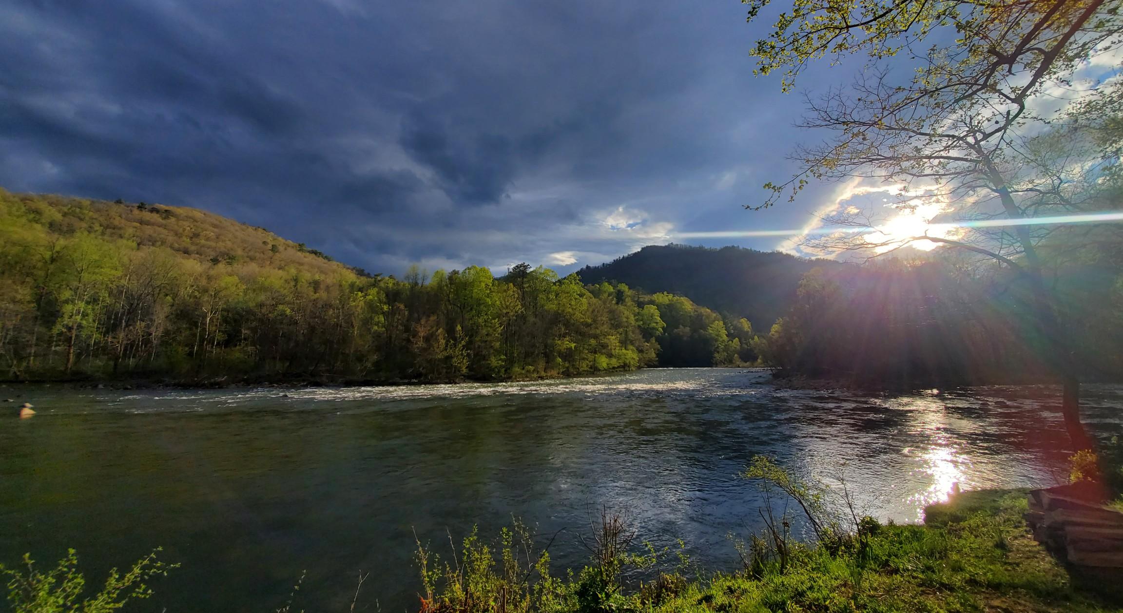 The Wedding Website of Michelle Dorosiewicz and Cohen Atkins