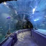 Virginia Aquarium & Marine Science Center