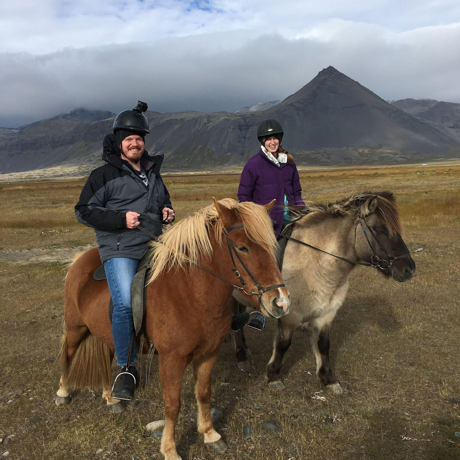 Icelandic Horsies!