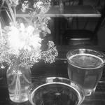 Pint & Plow Brewing Company