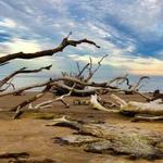 Big Talbot Island State Park