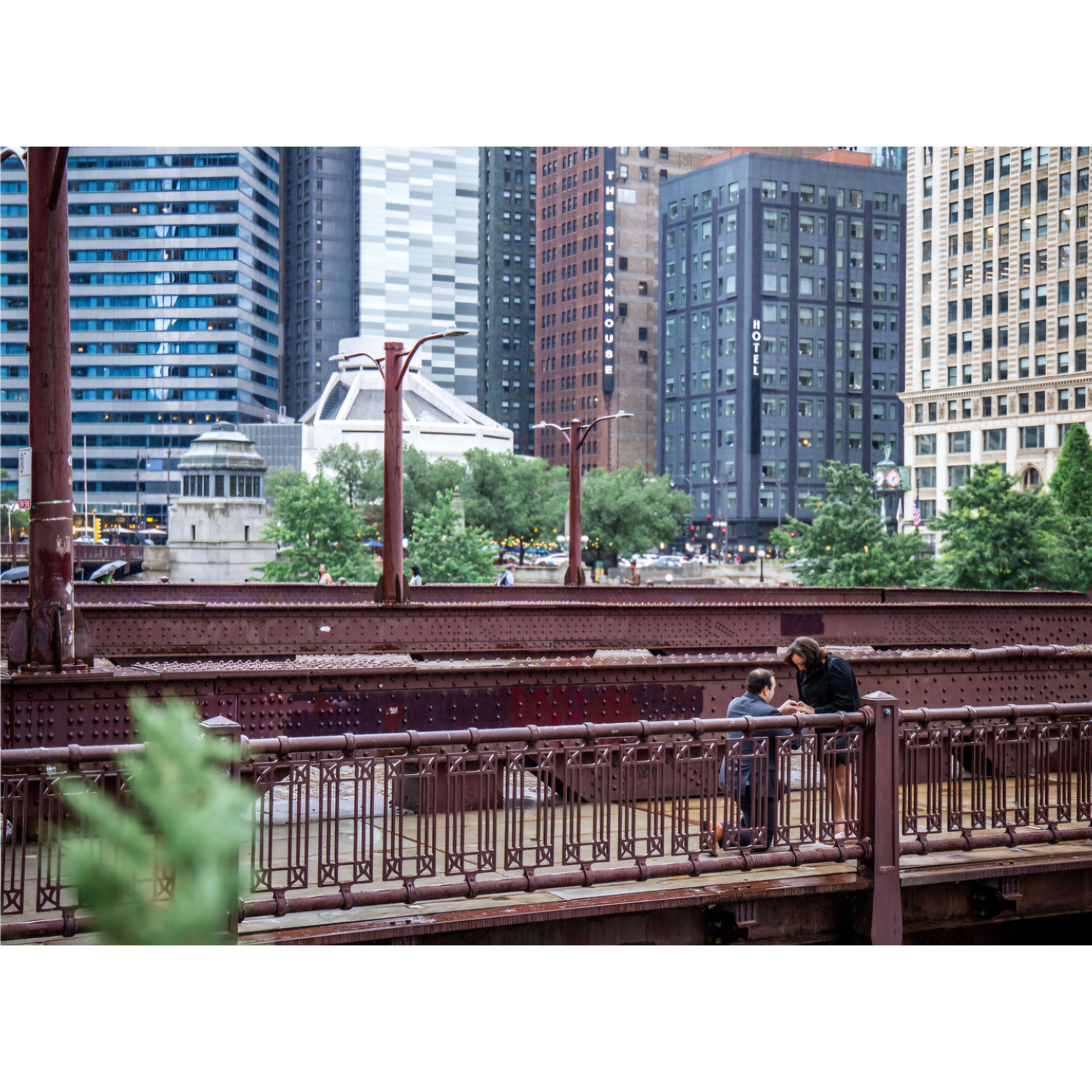 The day Xander popped the questions and Meg said "Yes" on the State Street bridge!